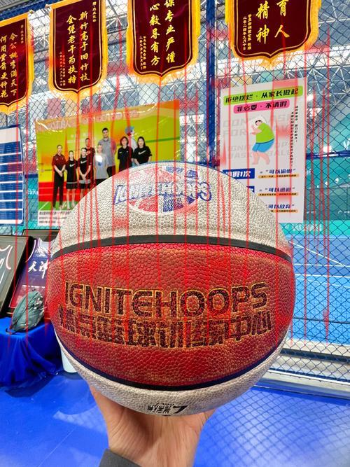 皇冠新宝2体育, 探索皇冠新宝2体育的魅力与优势，畅享无与伦比的体育体验