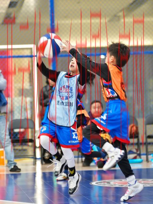 皇冠新宝2体育, 探索皇冠新宝2体育的魅力与优势，畅享无与伦比的体育体验