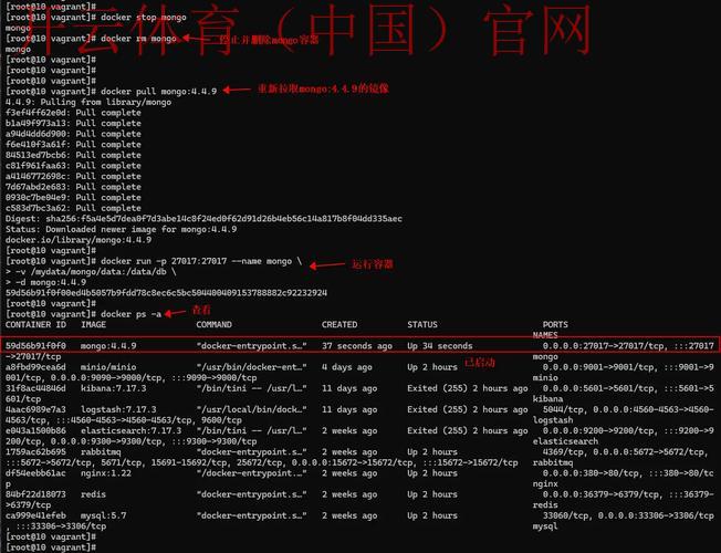 皇冠ra28体育, 探讨皇冠ra28体育在在线博彩行业中的发展前景