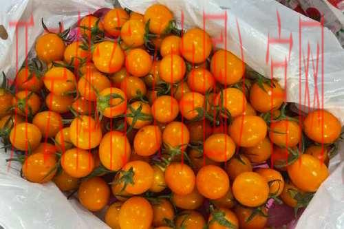 皇冠千禧体育, 探索皇冠千禧体育在全球体育赛事中的重要角色与影响力