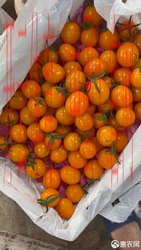 皇冠千禧体育, 探索皇冠千禧体育在全球体育赛事中的重要角色与影响力