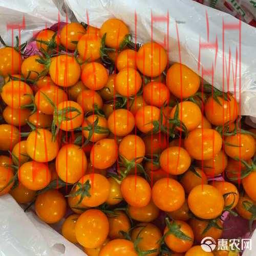 皇冠千禧体育, 探索皇冠千禧体育在全球体育赛事中的重要角色与影响力